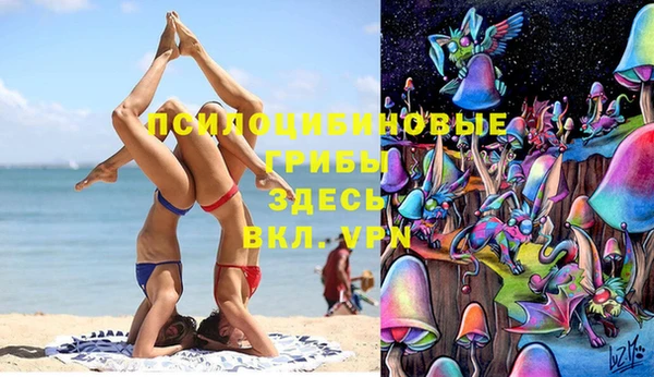 ECSTASY Вяземский